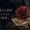 暗がりに浮かぶ一輪の深紅の薔薇と、色あせたセピアの古い写真、銀の懐中時計、革表紙の手帳。18年間ひとりを想い続けた重い純愛を象徴するダークな静物画。
